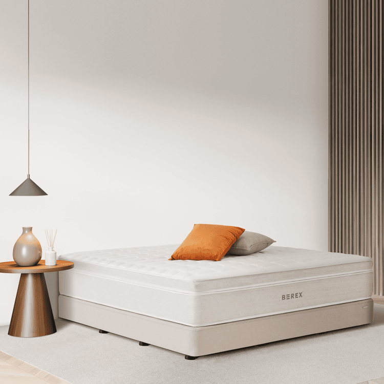 비렉스 모던 파운데이션 K 오트밀베이지